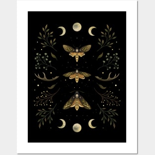 Death Head Moths Night Posters and Art